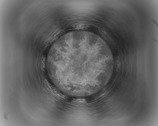 X0000100760554200807171344