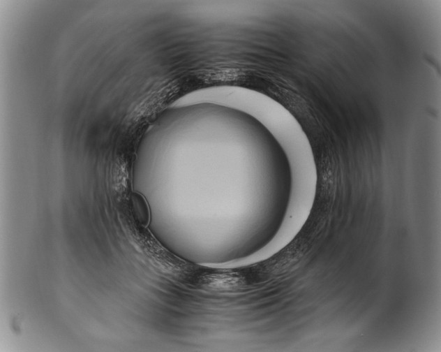 X0000100760555200807171344