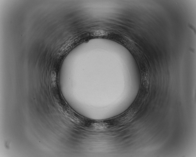 X0000100760556200807171344