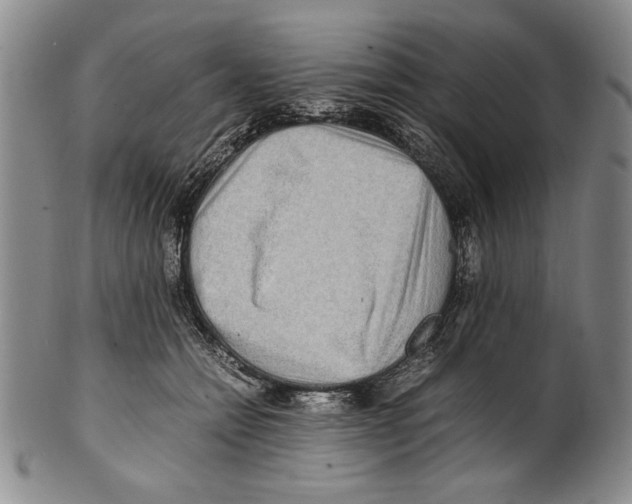 X0000100760558200807171344