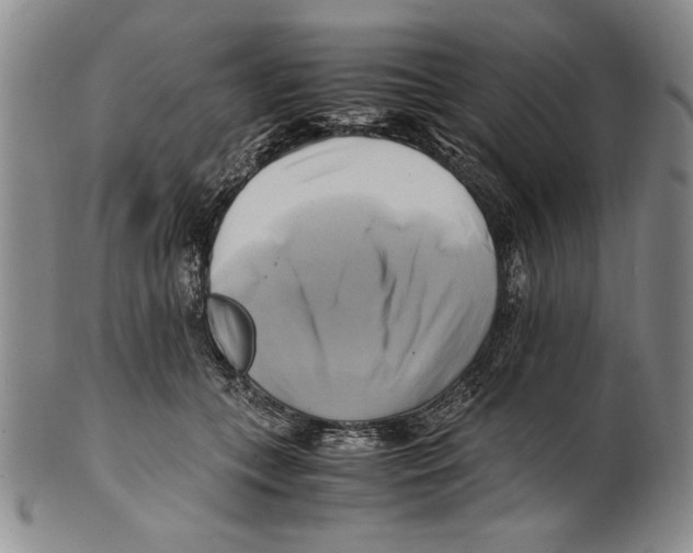 X0000100760559200807171344