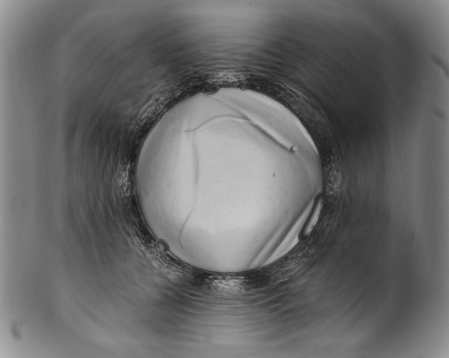 X0000100760560200807171344