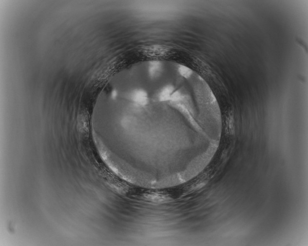 X0000100760561200807171344