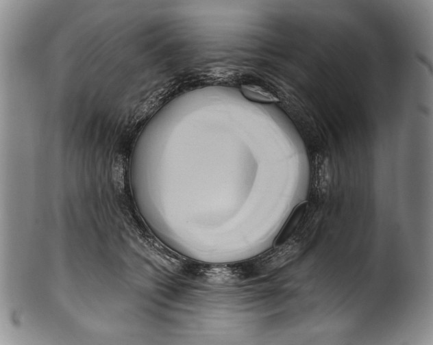 X0000100760562200807171344