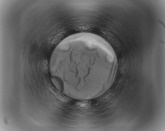 X0000100760563200807171344