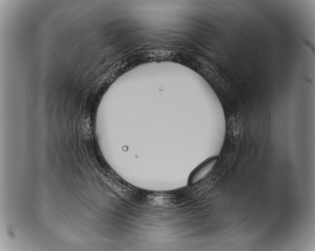 X0000100760564200807171344
