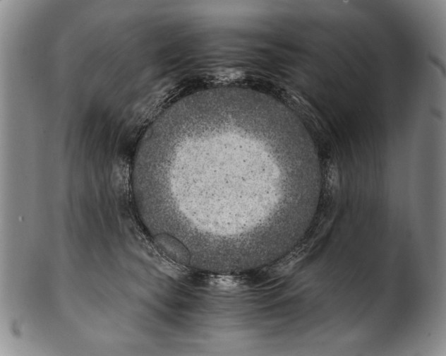 X0000100760565200807171344