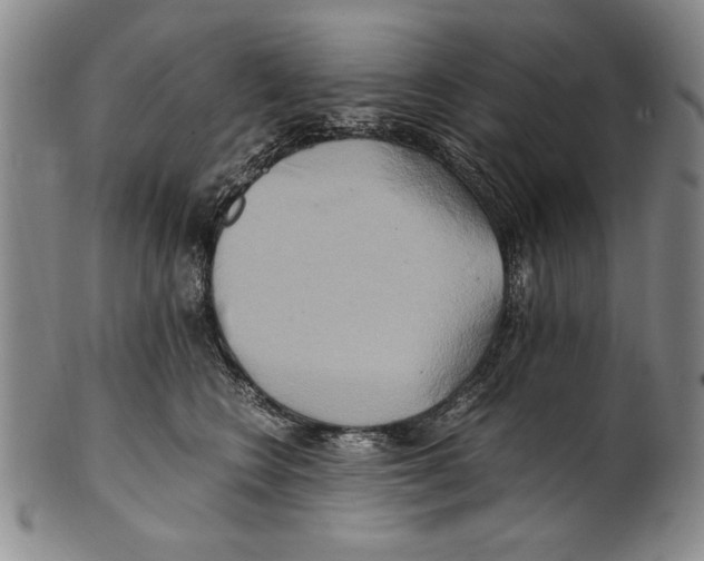 X0000100760566200807171344