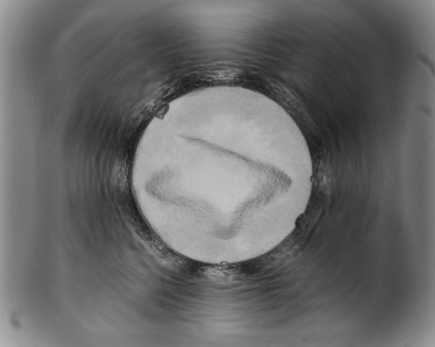 X0000100760568200807171344