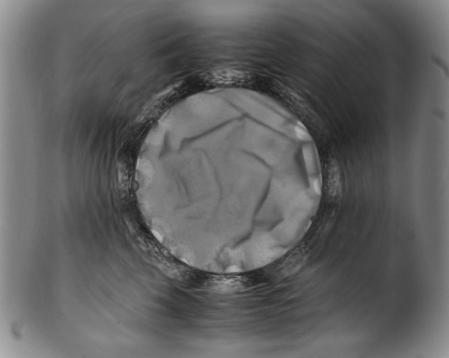 X0000100760569200807171344
