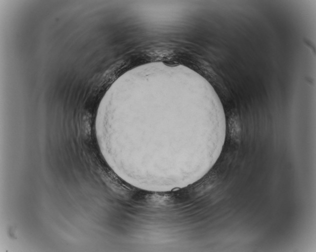 X0000100760570200807171344