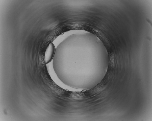 X0000100760571200807171344