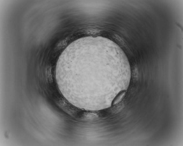 X0000100760572200807171344