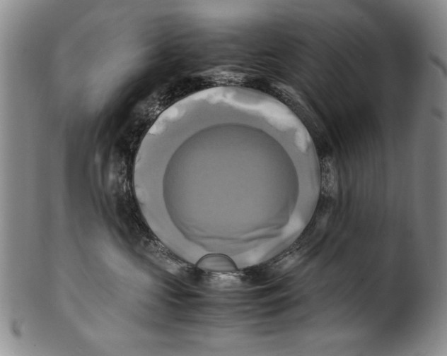 X0000100760573200807171344