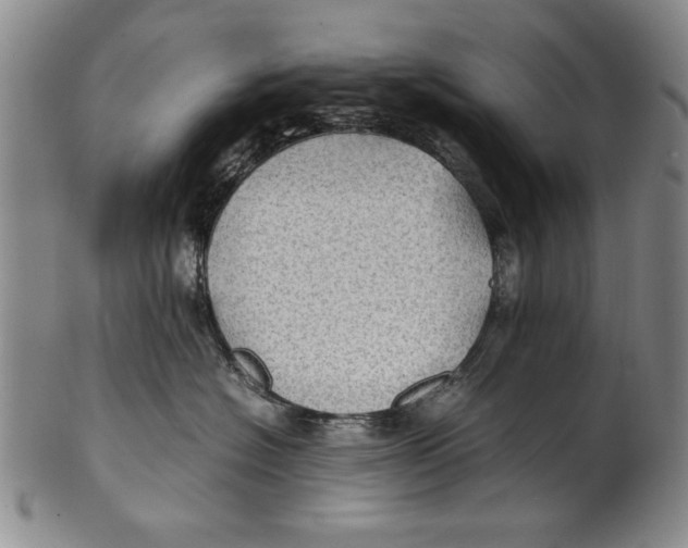 X0000100760574200807171344