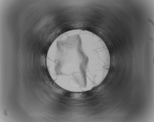 X0000100760575200807171344