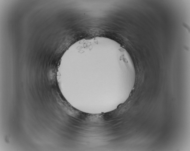 X0000100760576200807171344