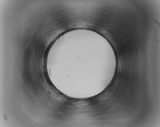X0000100760578200807171344