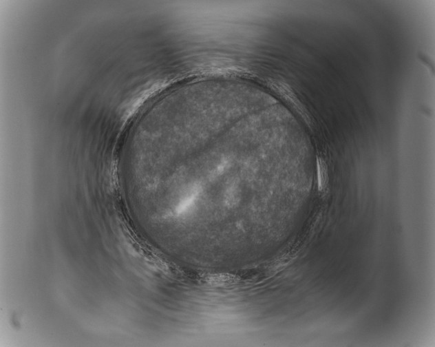 X0000100760579200807171344