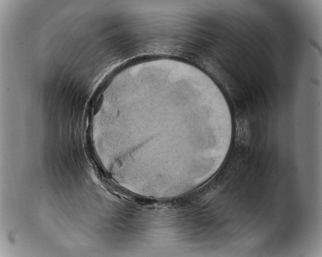 X0000100760580200807171344