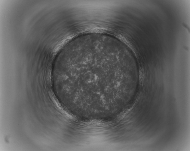 X0000100760581200807171344