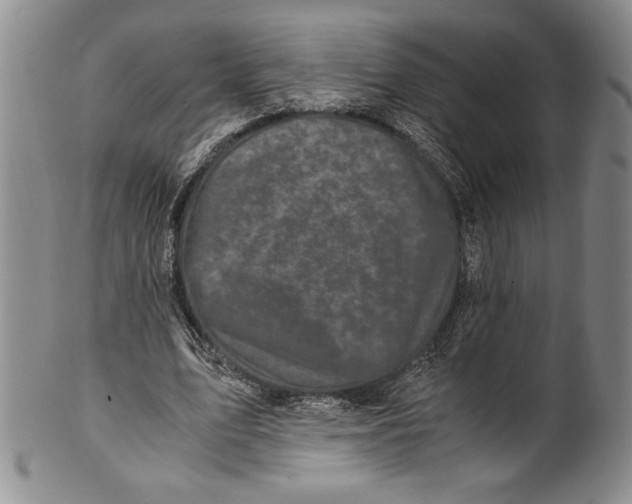 X0000100760583200807171344