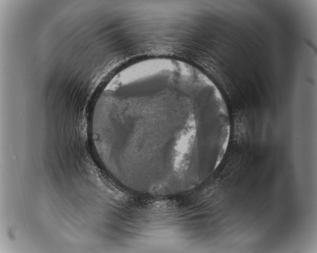 X0000100760584200807171344