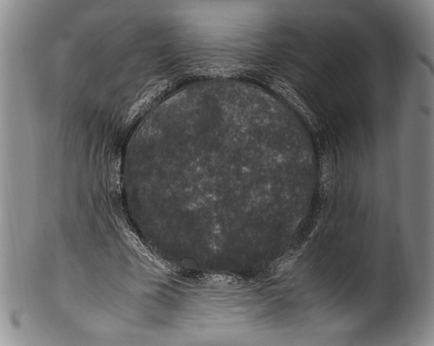 X0000100760585200807171344