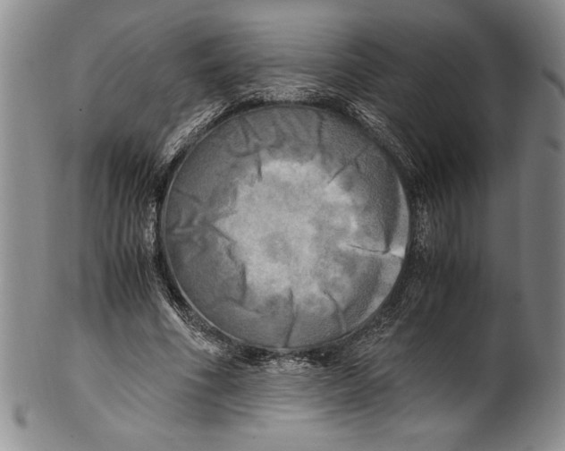 X0000100760586200807171344