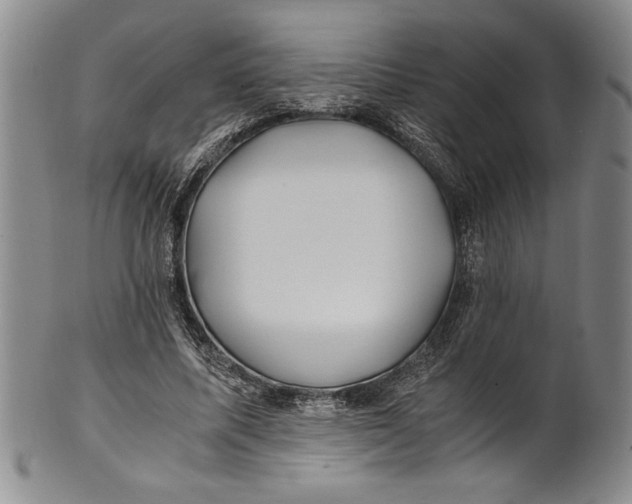 X0000100760587200807171344