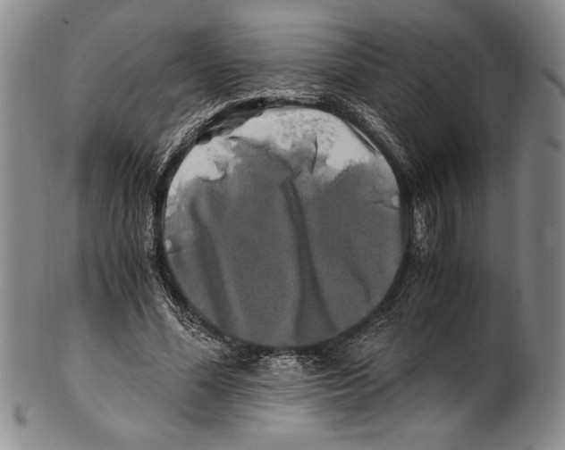 X0000100760588200807171344
