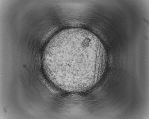 X0000100760589200807171344