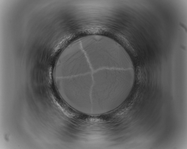 X0000100760590200807171344