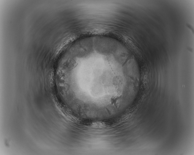 X0000100760591200807171344
