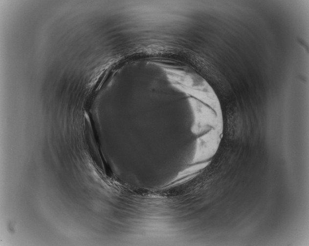 X0000100760592200807171344