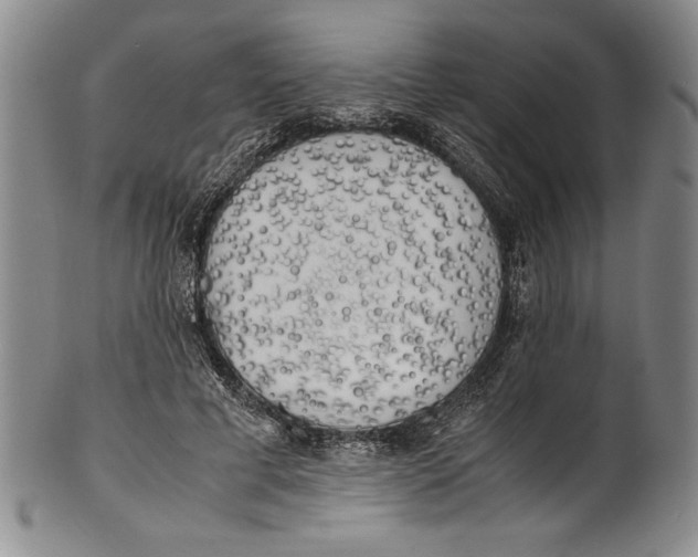 X0000100760593200807171344