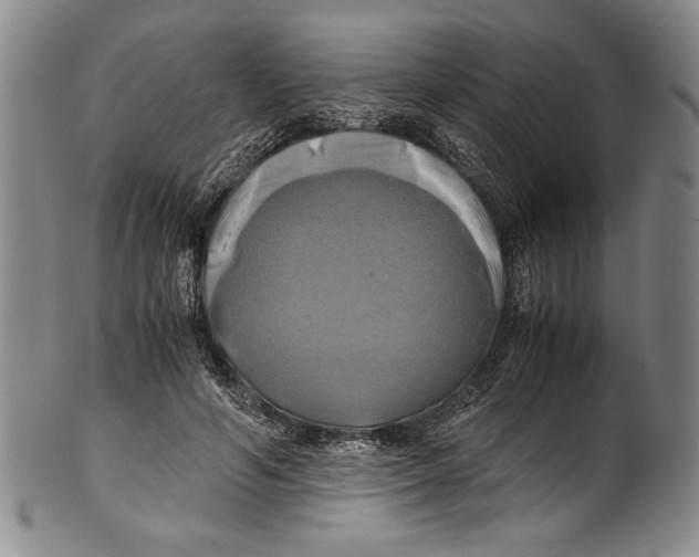X0000100760594200807171344