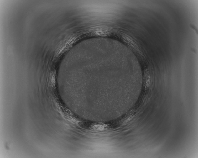 X0000100760595200807171343