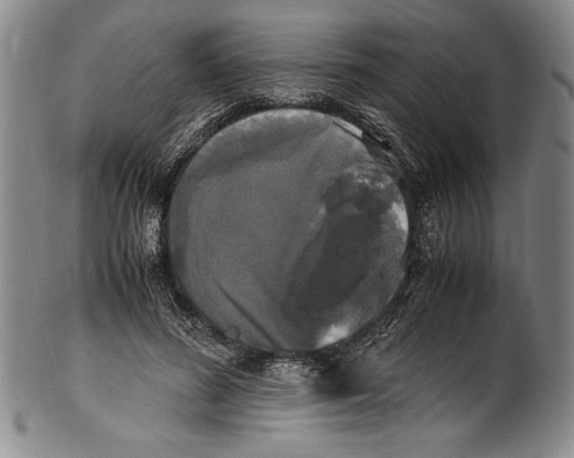 X0000100760596200807171343