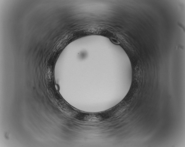X0000100760597200807171343