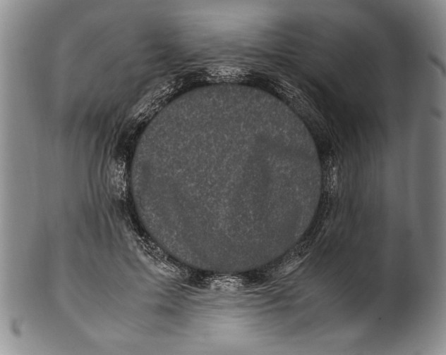 X0000100760599200807171343