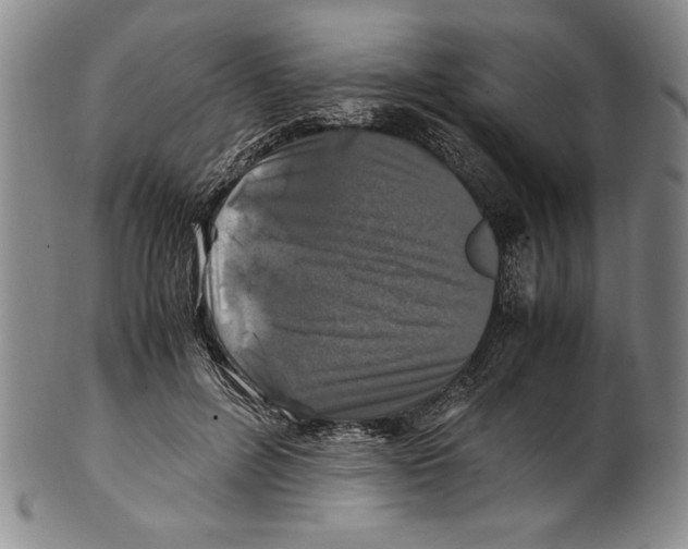 X0000100760600200807171343