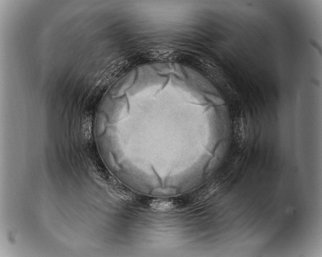 X0000100760602200807171343