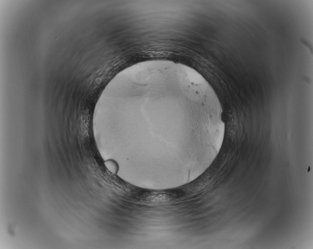 X0000100760604200807171343