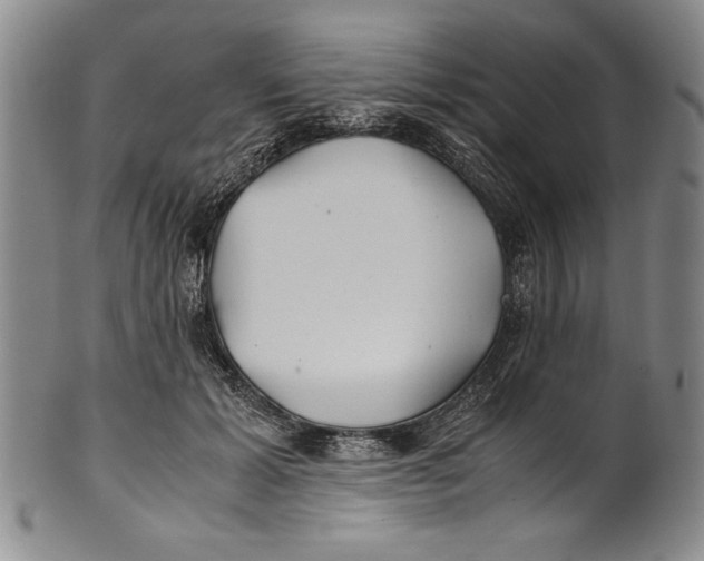 X0000100760605200807171343