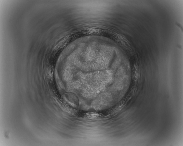 X0000100760607200807171343