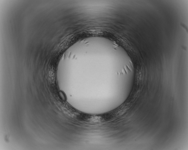 X0000100760609200807171343