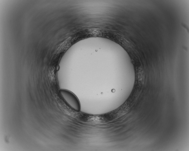 X0000100760611200807171343
