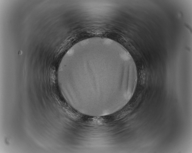 X0000100760612200807171343
