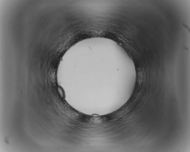 X0000100760613200807171343